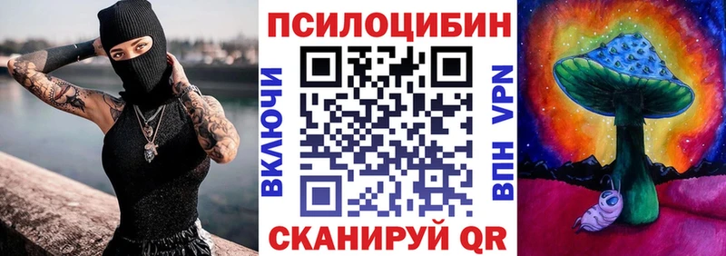 как найти закладки  Волгоград  ссылка на мегу рабочий сайт  Псилоцибиновые грибы Psilocybine cubensis 