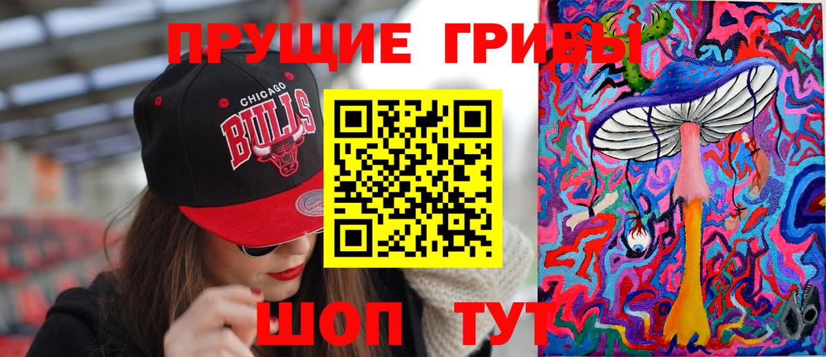 купить  сайты  Вход с VPN  Волгоград  Псилоцибиновые грибы мухоморы 