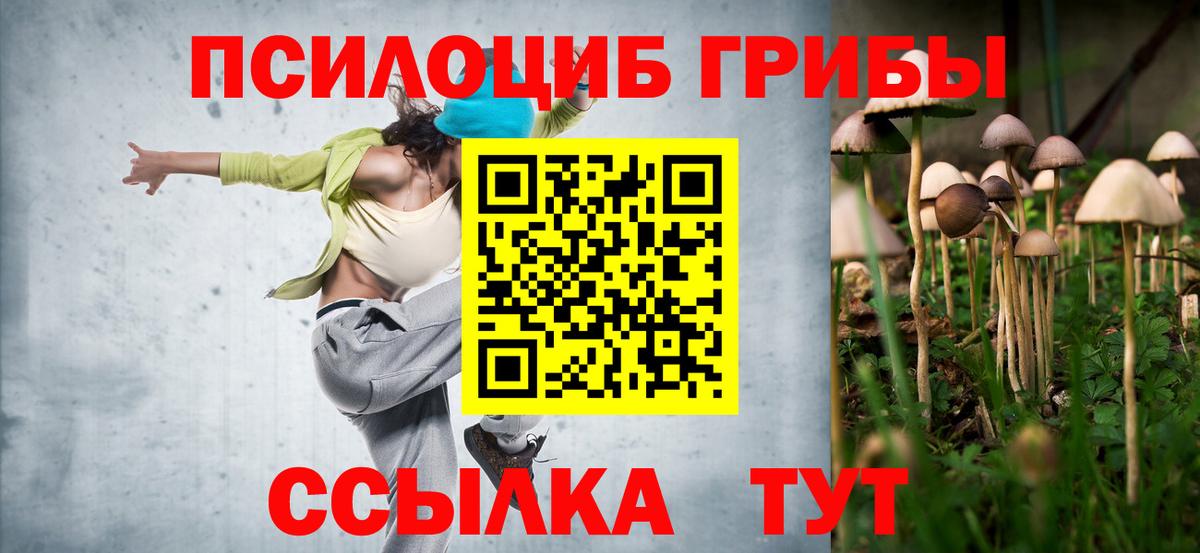 Псилоцибиновые грибы Psilocybine cubensis Волгоград